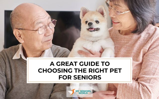 msw_pets