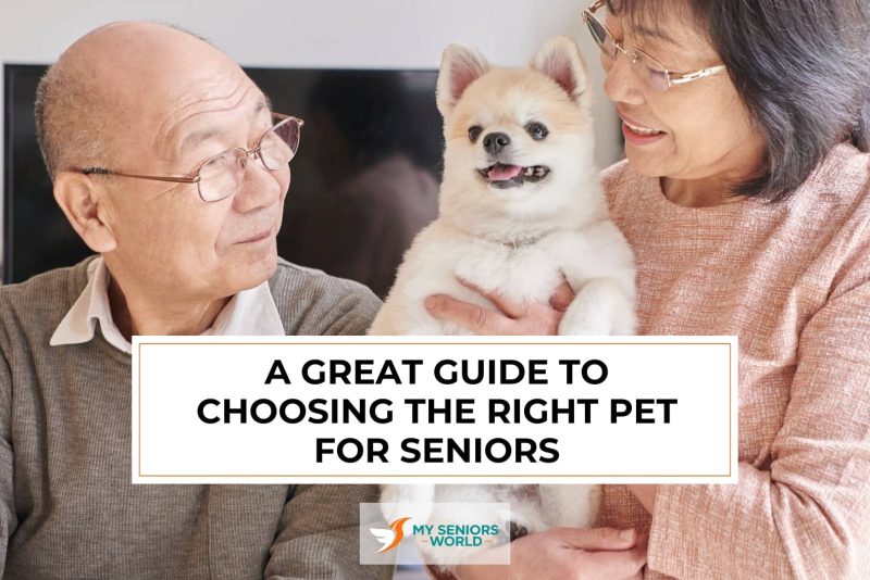 msw_pets