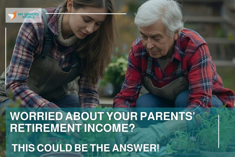 retirement income_pov_team MSW