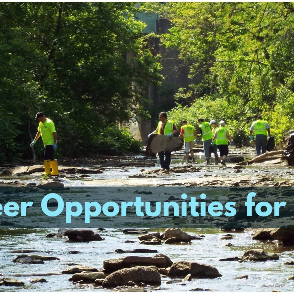 Volunteer Opportunities for Seniors is a great way for seniors to give back to their community while making meaningful connections.