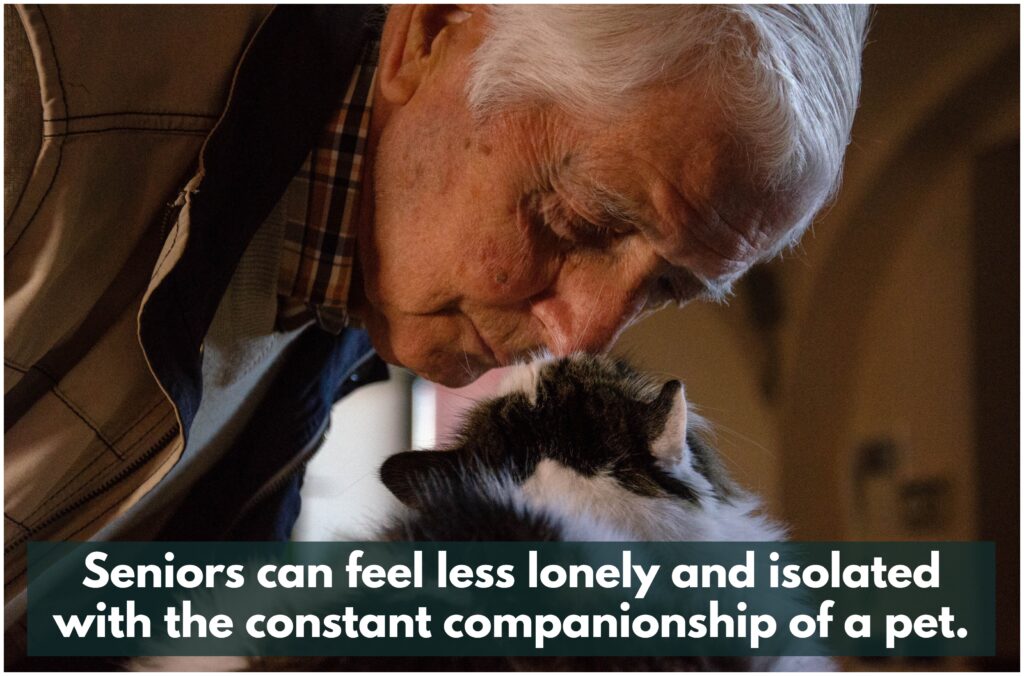 Seniors can enjoy the joys of life with the unconditional love of a pet, providing them with a constant source of companionship!