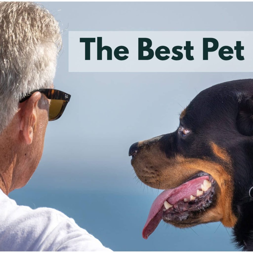 A Great Guide to Choosing the Right Pet for Seniors