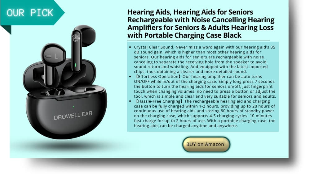 hearing aid