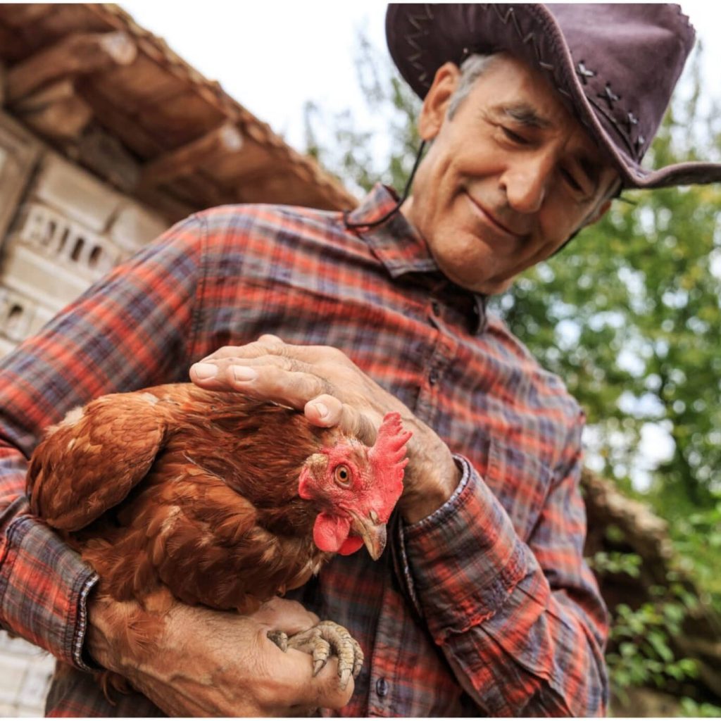 How Raising Chickens Can Provide a Fulfilling and Sustainable Retirement Lifestyle