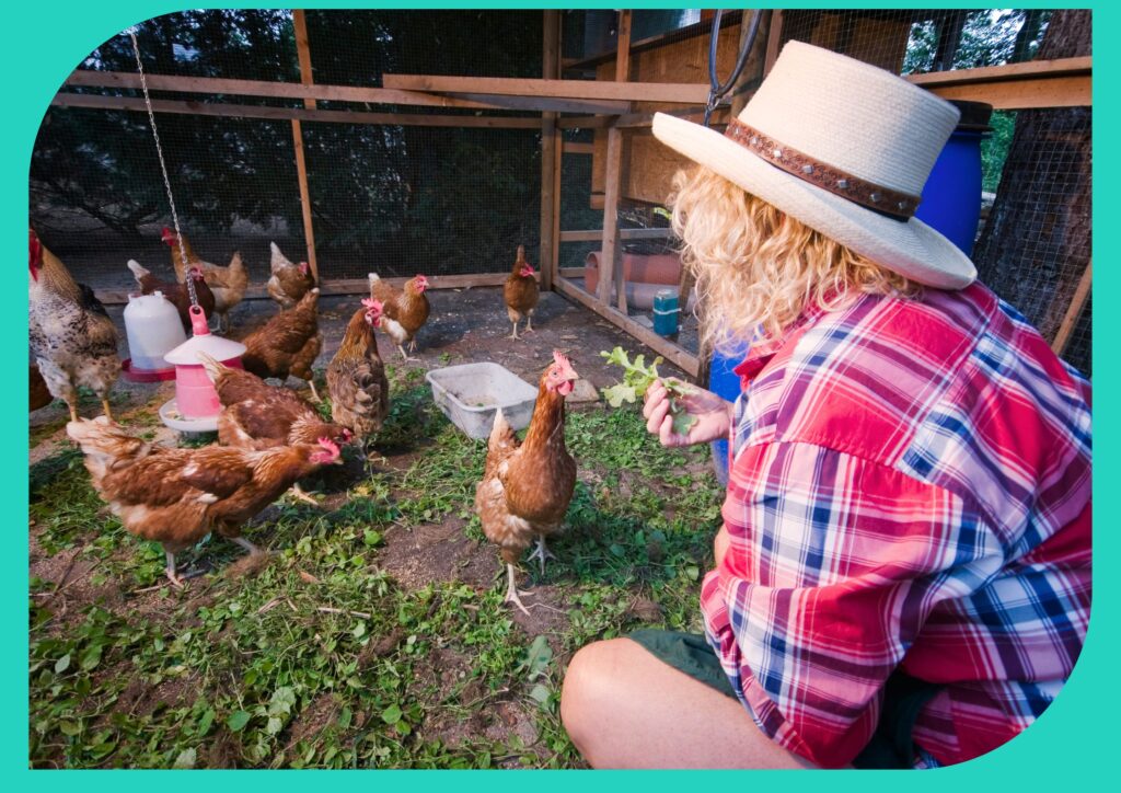 Chickens need sufficient space to stretch their wings, scratch the ground, and exhibit natural behaviors without feeling restricted.