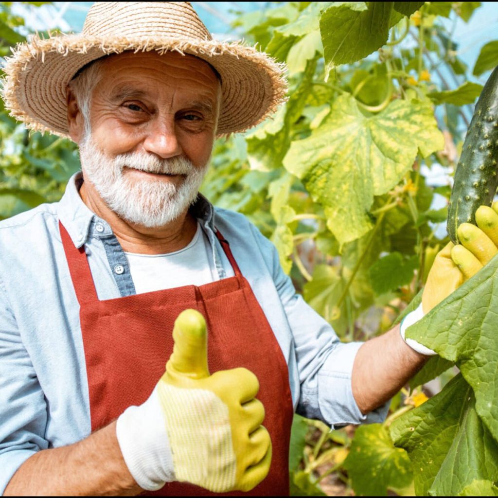 The Green Solution: How Senior Gardening Help Reduce Cost of Living Pressures