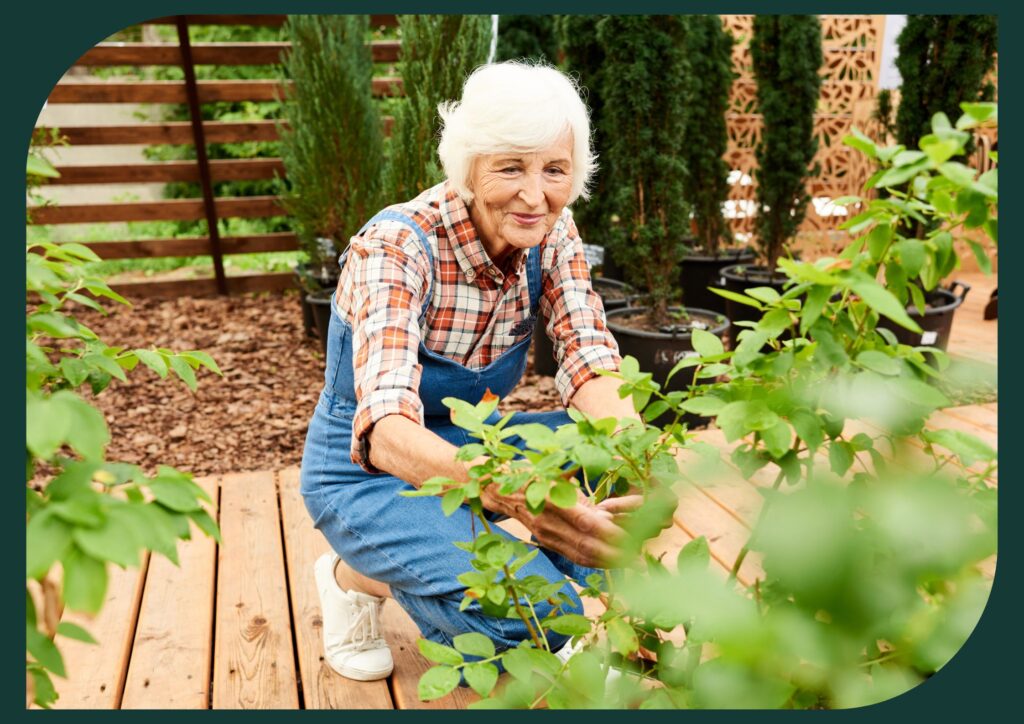 Clear pathways are essential for senior garden safety.