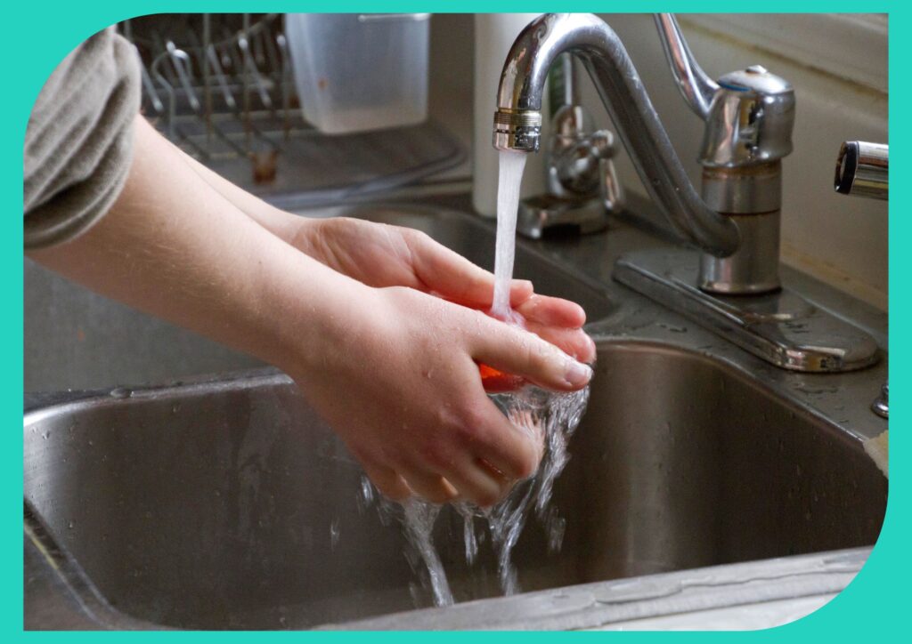 Practice good food-handling habits: wash hands and utensils before handling raw ingredients.