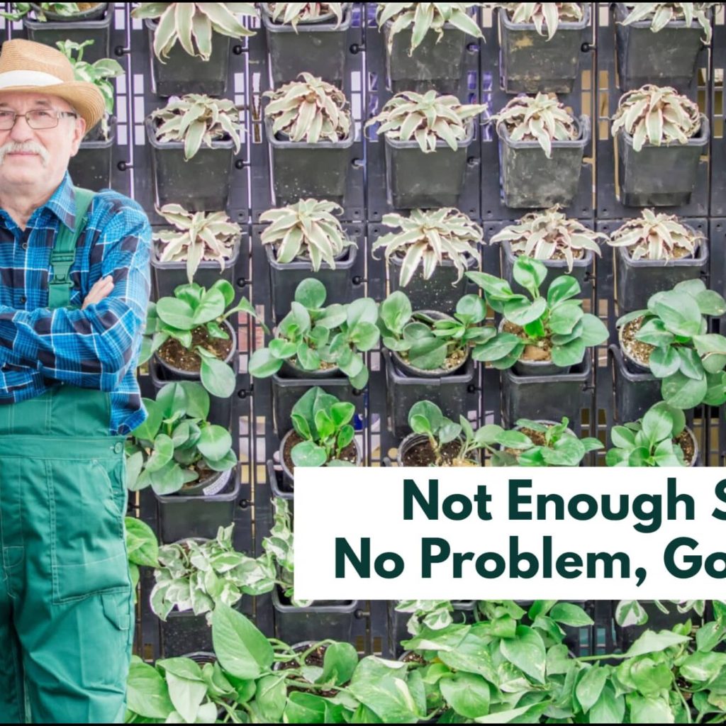 Vertical Gardening for Seniors: Everything You Need to Know for Success