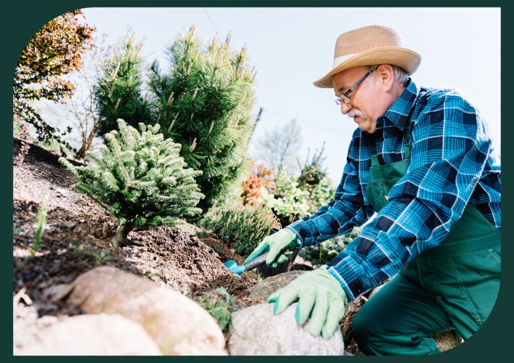 Discover drought-resistant plants for senior gardens, promoting water conservation and beauty.