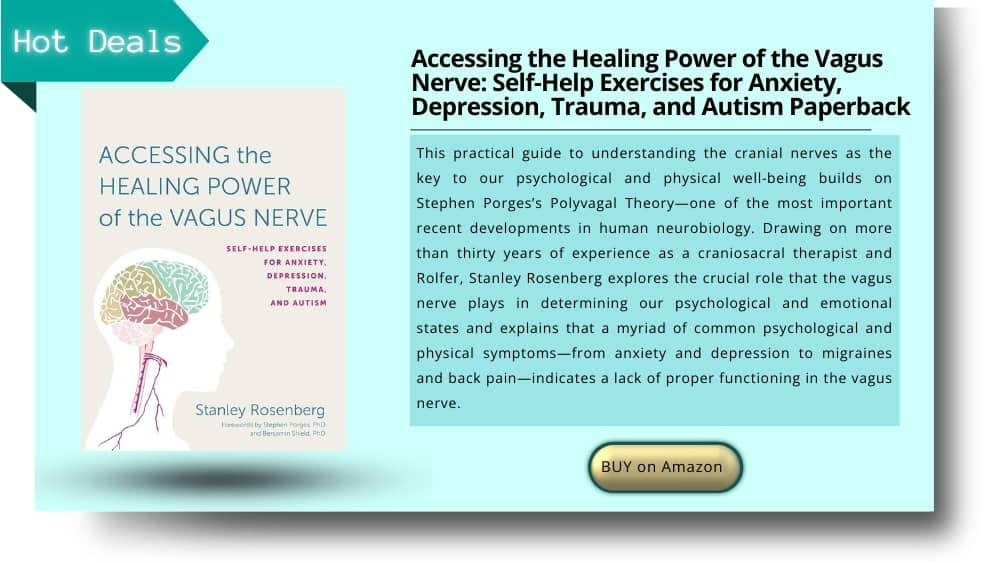 vagus nerve stimulation