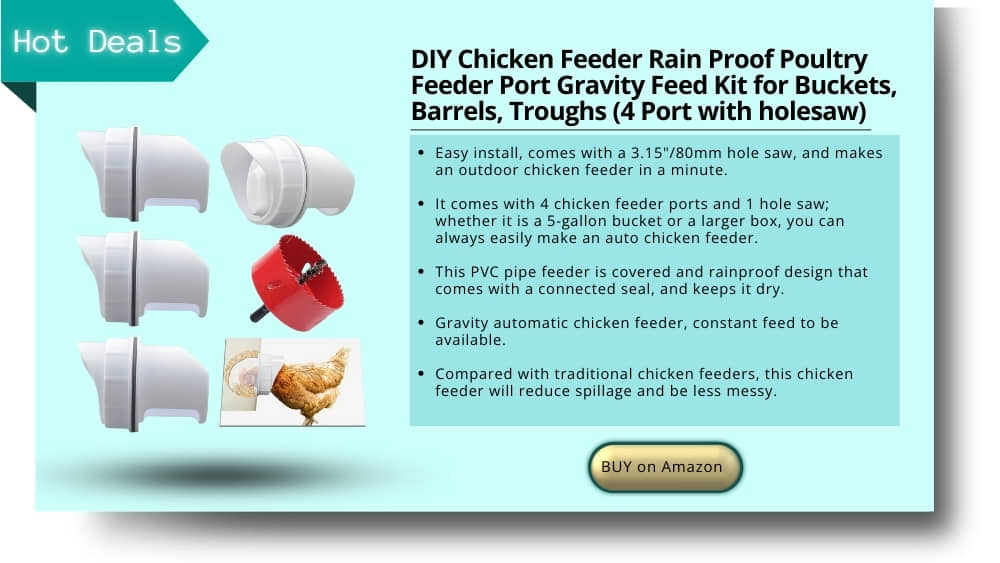 chicken feeder