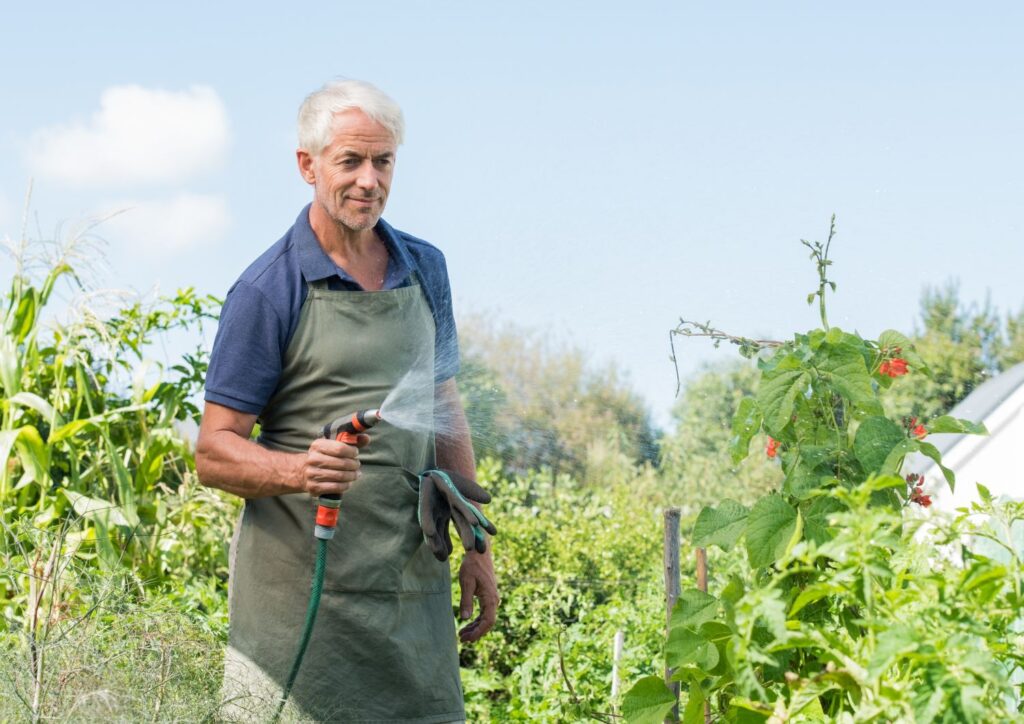 Elevated structures and container gardening help seniors tend to plants easily and comfortably, reducing back strain.