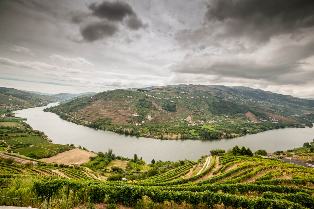 A scenery image of the Douro Valley in Portugal. 
