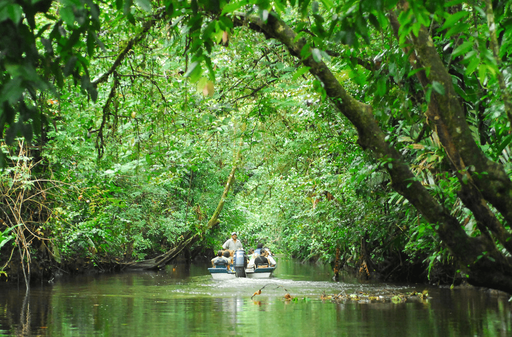 An image of the Tortuguero National Park in Costa Rica.