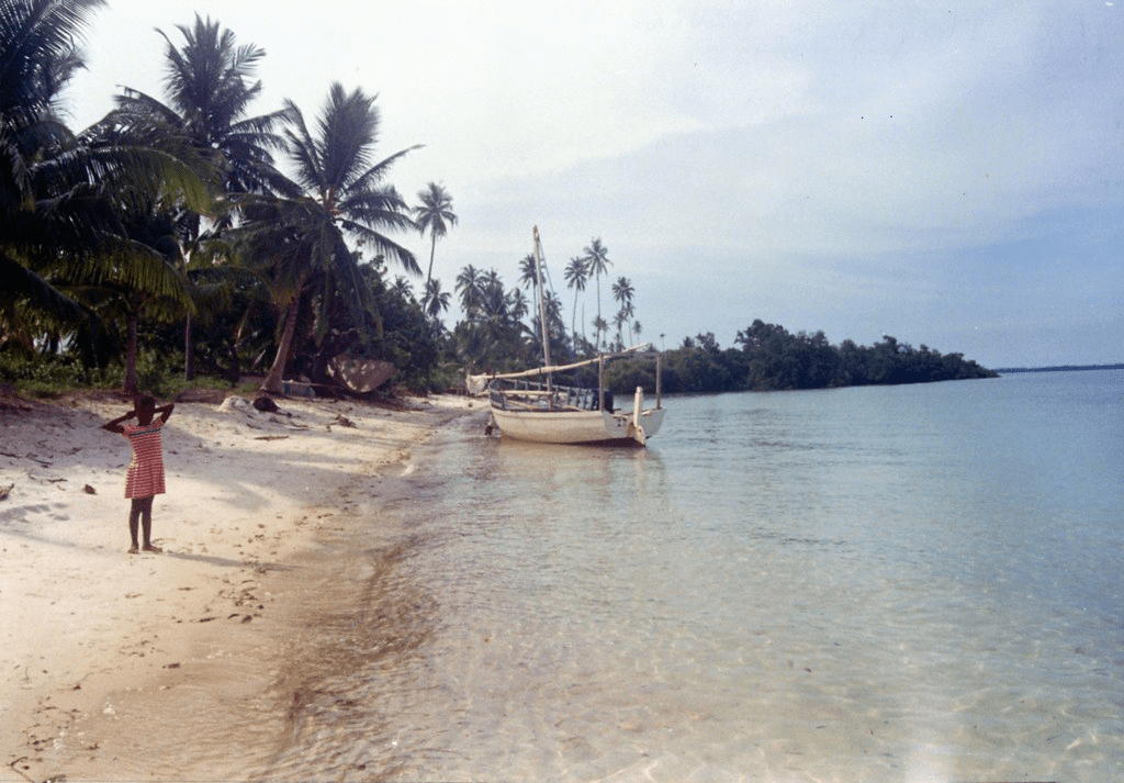 An image of a beach within Mafia Island.