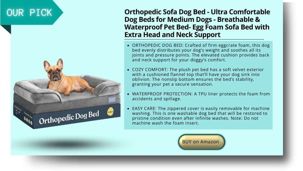 Orthopedic Sofa Dog Bed