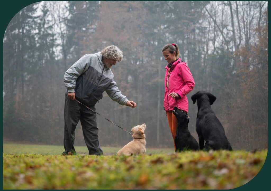 Pets are social superstars, forming connections and sparking conversations with strangers, creating unique bonds.
