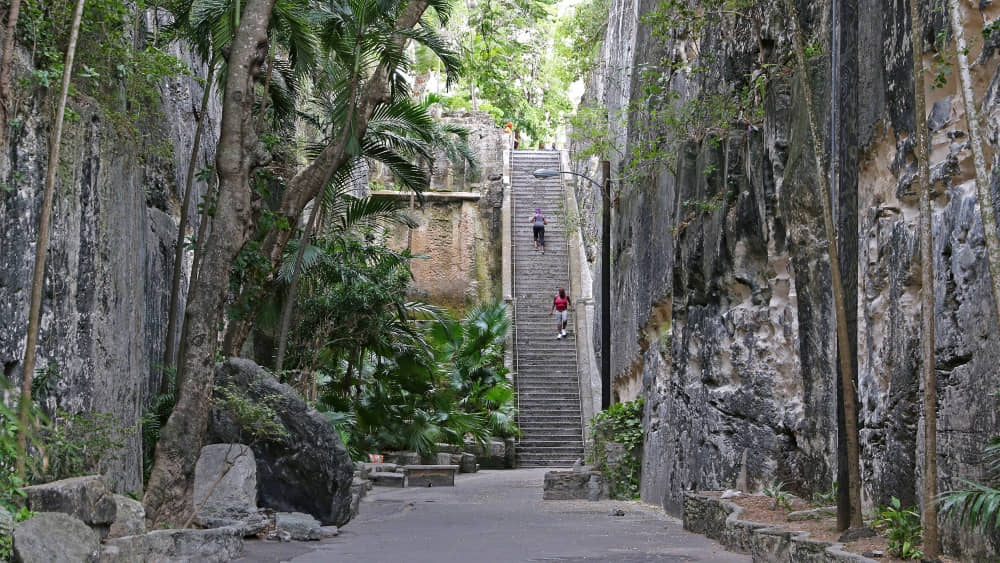 An image of the Queen's Staircase, one of the many locations in a senior trip to Nassau. 