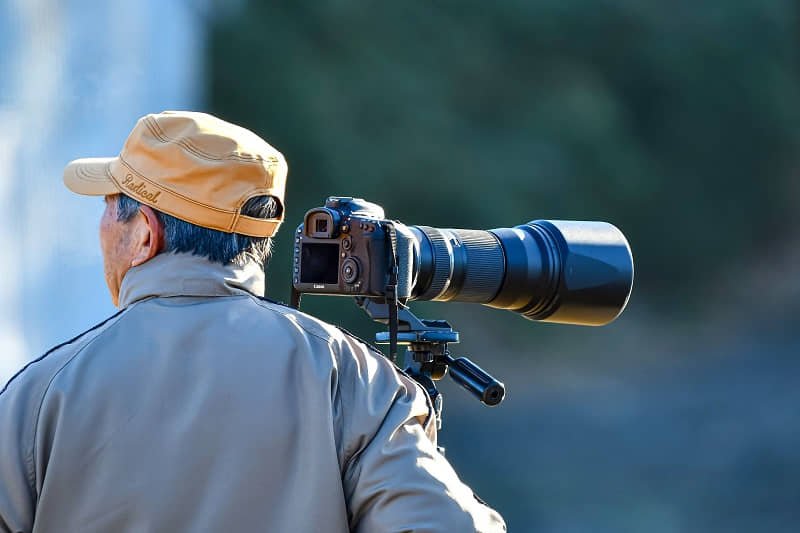 Learning nature photography in later life is a fulfilling experience. 