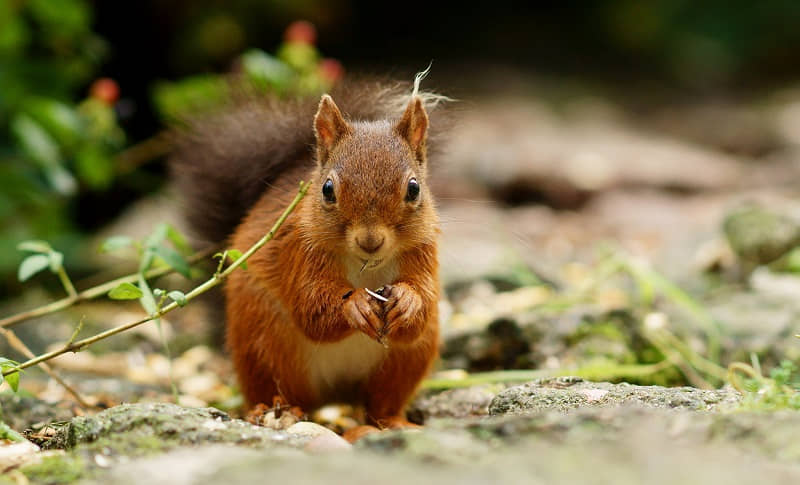 To learn nature photography is to appreciate nature’s grandeur in small moments.
