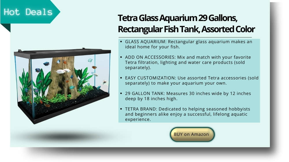 tetra glass aquarium