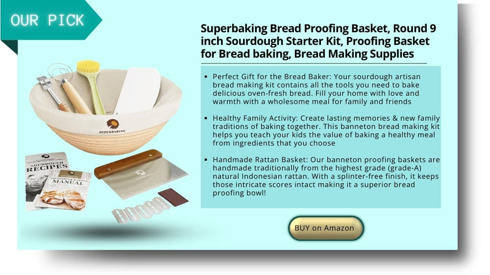bread starter kit