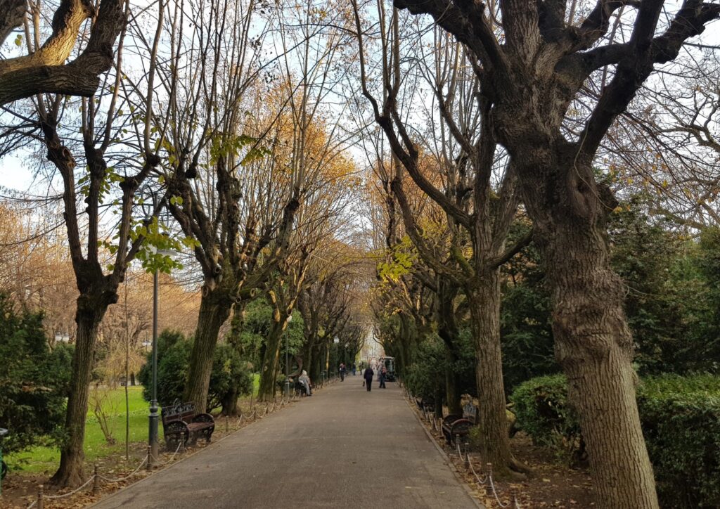 Cișmigiu Gardens