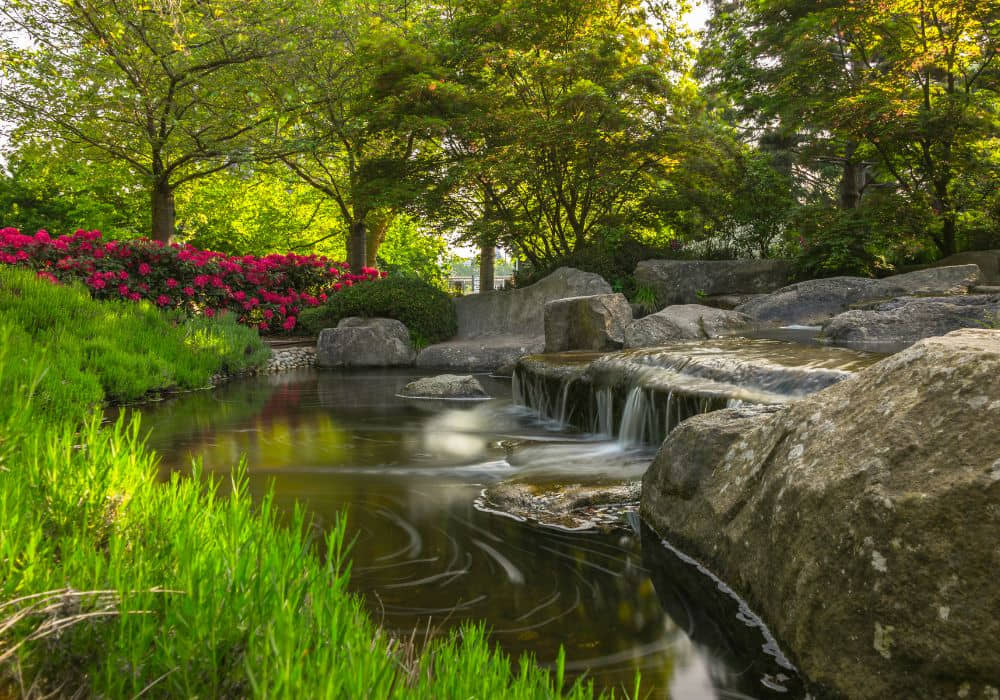 Water gardens at Planten un Blomen