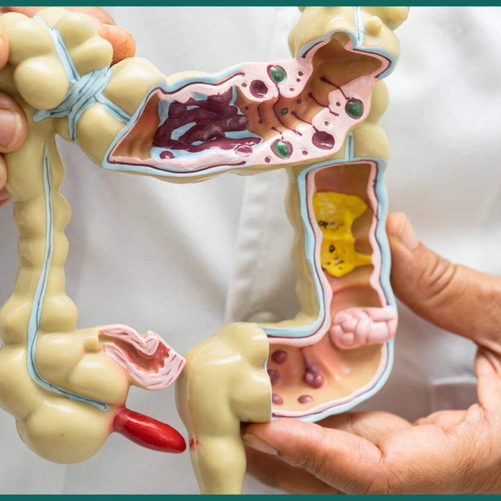 The 50+ Guide to Gut Health: Nourish Your Body, Mind, and Immunity