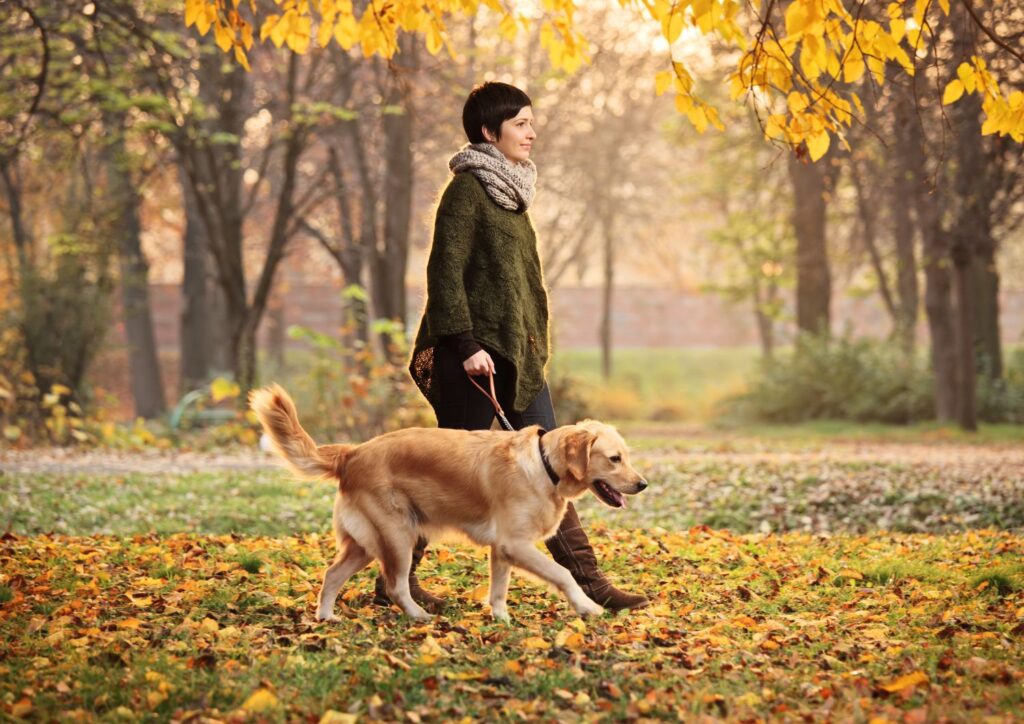 A senior walking their dog in the neighbourhood