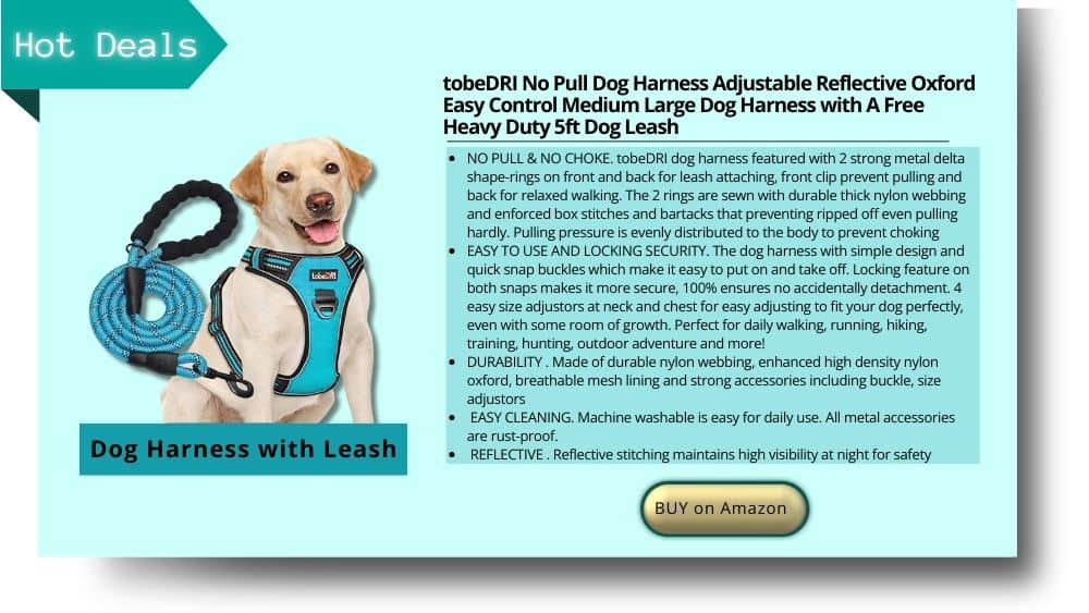 Dog harness with leash