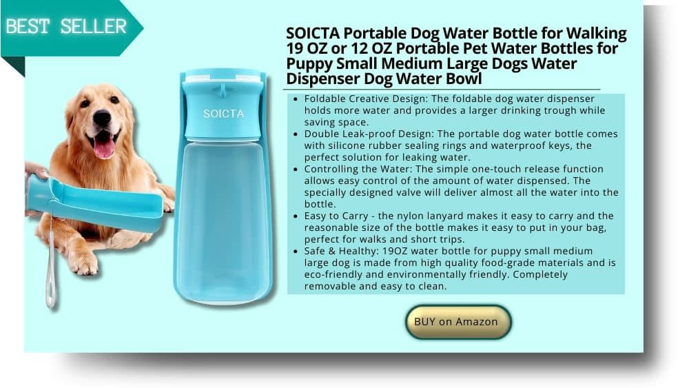 Portable dog water bottle