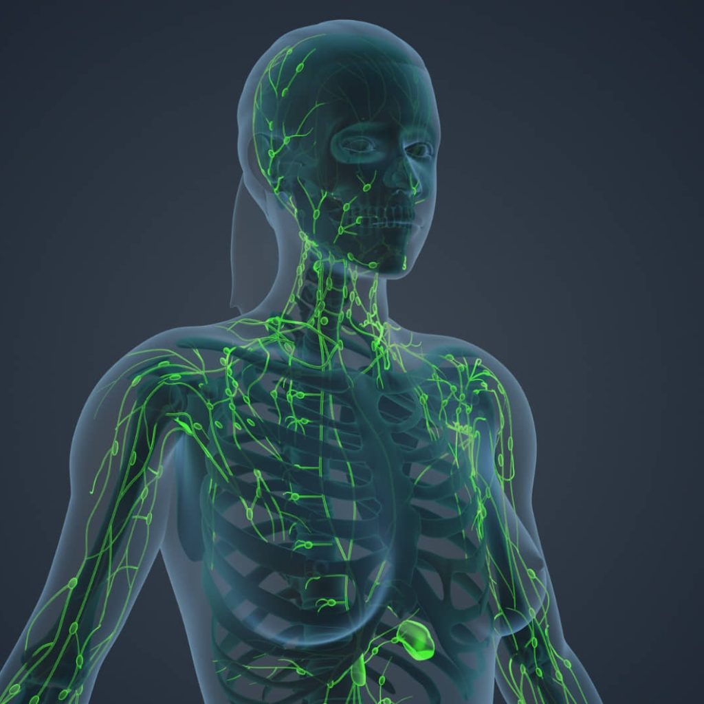 Lymphedema Treatment: Growth Factor Therapy Falls Short