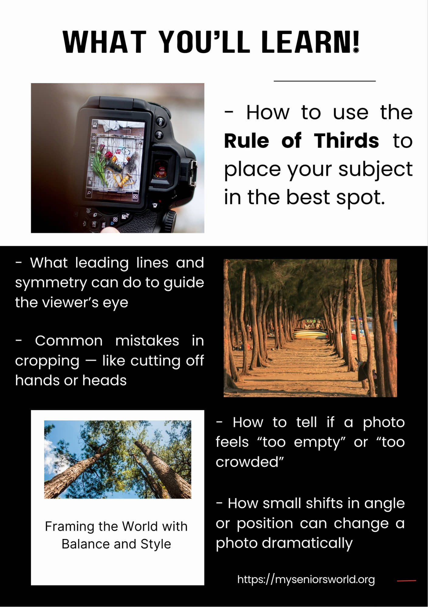 What you'll learn -composition tricks