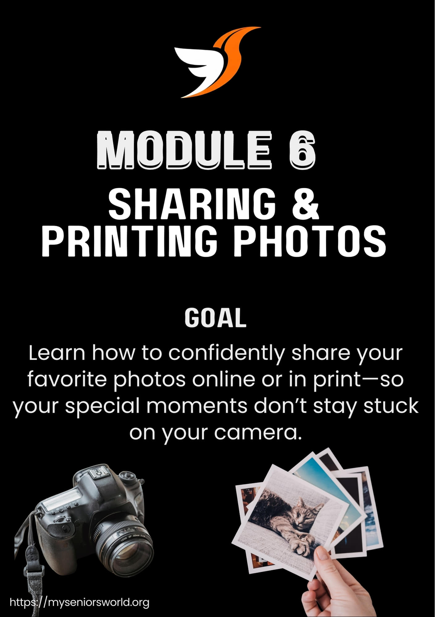Module 6 - Goal 
