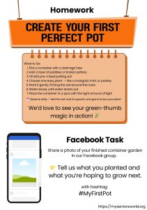 Module 2 task